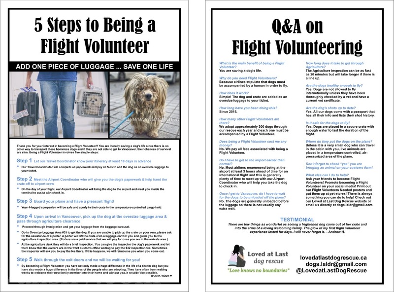 200528194015_5 Steps to Flight Volunteering with LALDR JPG.jpg